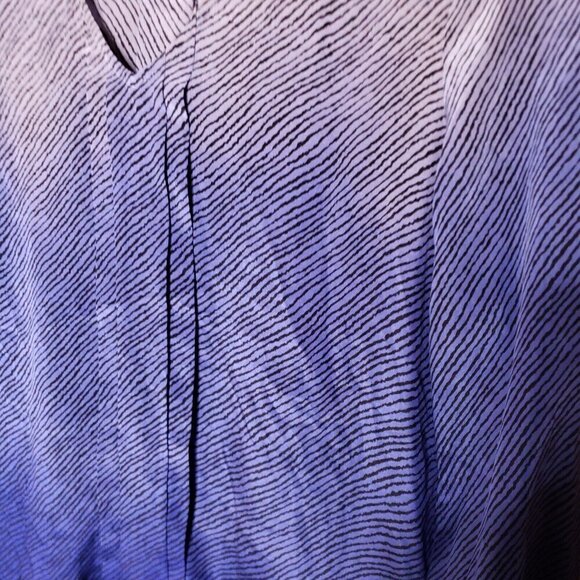 Petticoat Alley Womens Silk Ombre Striped Blouse XS - Picture 4 of 7